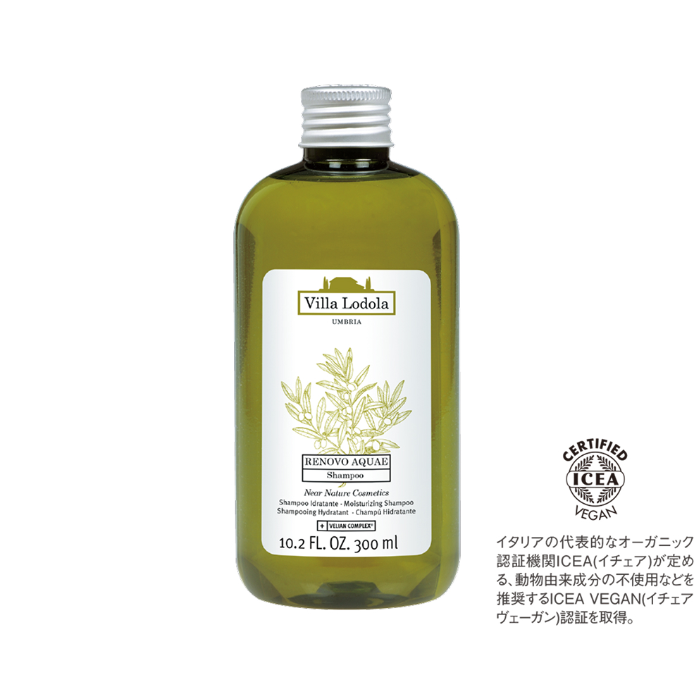 RENOVO AQUAE Shampoo　レノーボ アクエ シャンプー